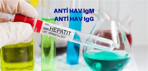 Anti HAV Nedir? Hepatit A Virüsüne Karşı Koruma ve Aşılar
